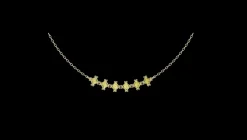 The Allevare Necklace