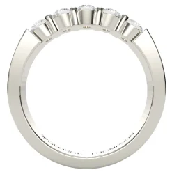The Harmonica