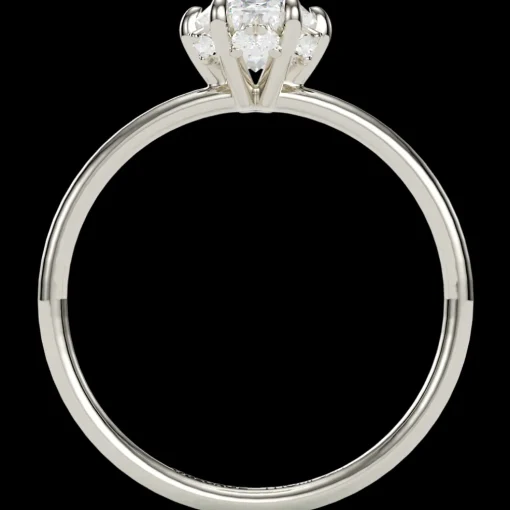 The Lexica Oval