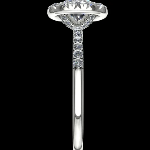 The Perpetua
