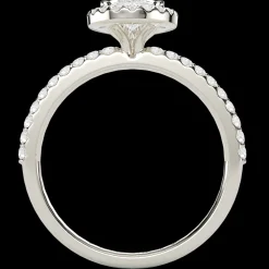 The Tapiwa Pear