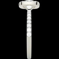 The Tapiwa Radiant