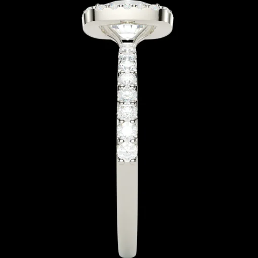 The Tapiwa Radiant
