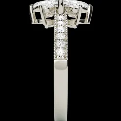 The Taveena