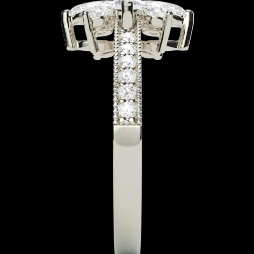 The Taveena