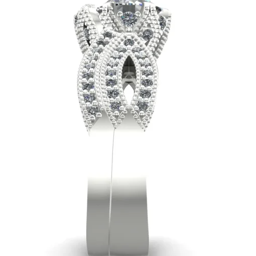 The Vanda