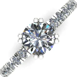 The Vanessa